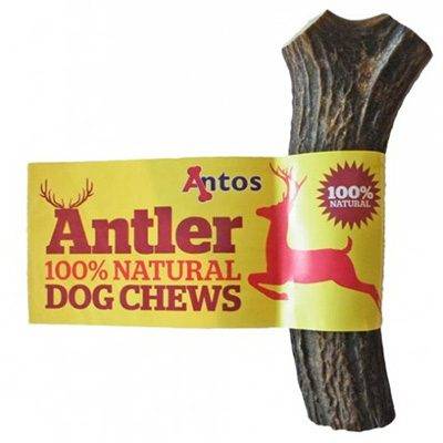 Antos Antlers