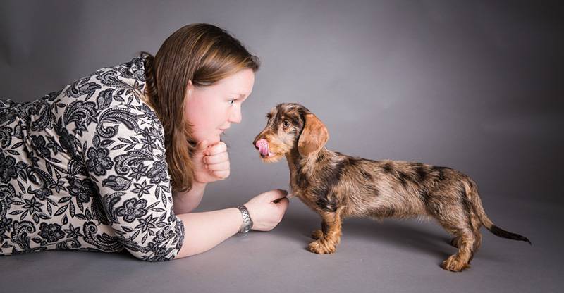 Jess with Dottie a pin-wire Miniature Dachshund puppy