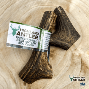 Real Deer Antlers - a great long lasting, natural dog chew
