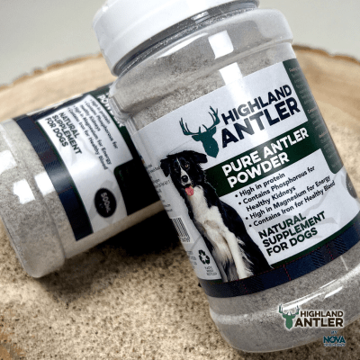 Pure Antler Powder - 500g - Image 4