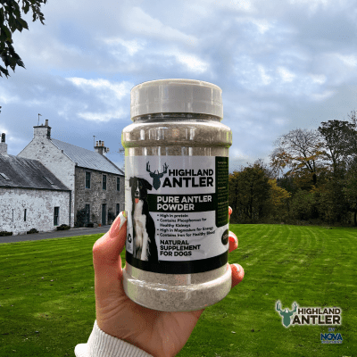 Pure Antler Powder - 500g - Image 3