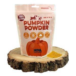 Pumpkin Powder - 200g
